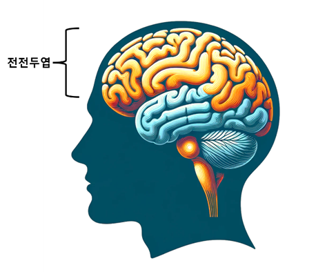 뇌의 전전두엽